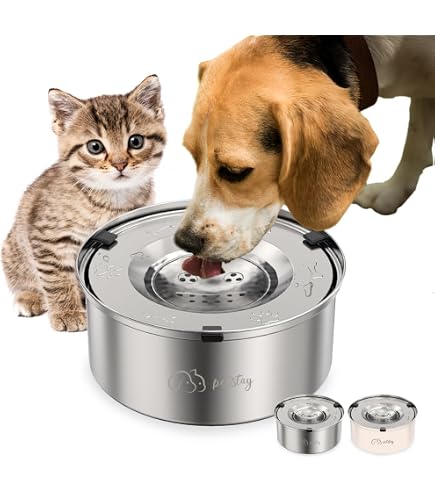 Amazon | 【Amazon.co.jp 限定】Cmswiftify 犬 給水器 猫 水飲み器
